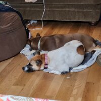 2025-thanksgiving-11_27-17_38-11