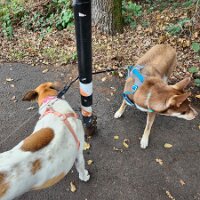 2025-thanksgiving-n-bday-11_23-14_30-03