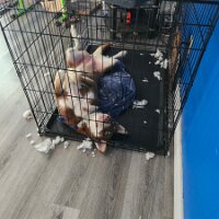 2025-thanksgiving-n-bday-11_24-15_38-08