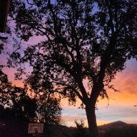 2025-thanksgiving-n-bday-12_03-07_01-19